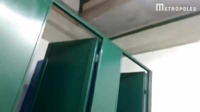 On&ccedil;a parda encontrada dentro do vesti&aacute;rio do gin&aacute;sio da escola em Minas Gerais