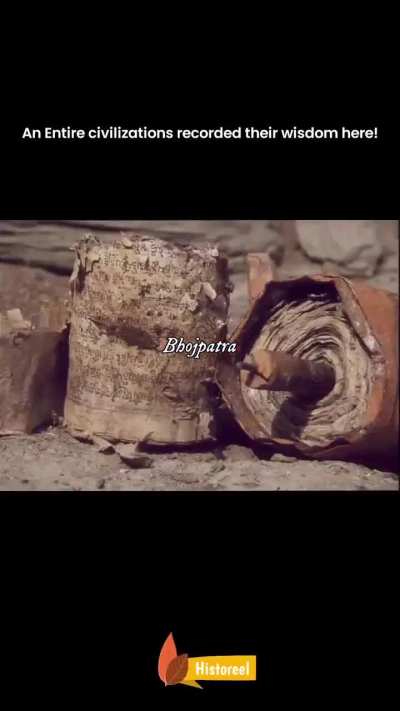 Bhūrj&aacute;patra, the Himalayan Birch bark once used as natural paper in Indian subcontinent to record sacred texts, medicinal knowledge, and historical information due to its natural resistance to decay.