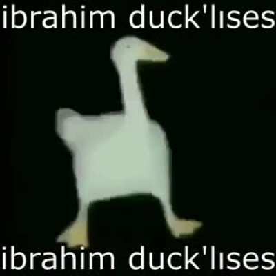 bu bir meme değil, komik &ouml;rdek videosu.