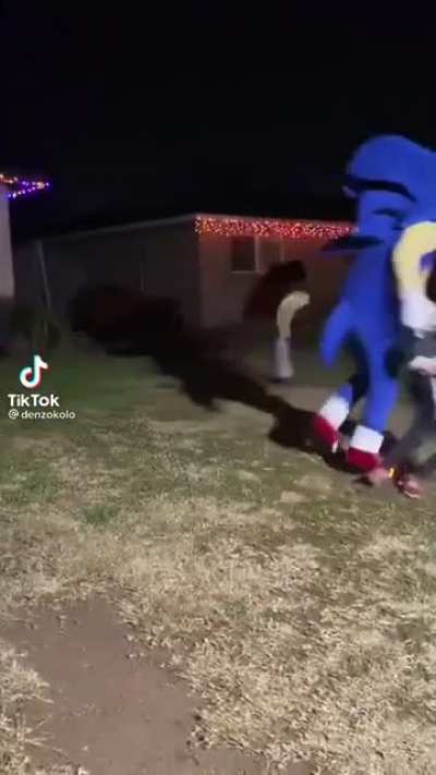 NOO SONIC QUE TE PAS&Oacute;? 😭😭