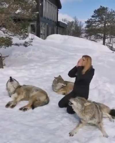 howling together