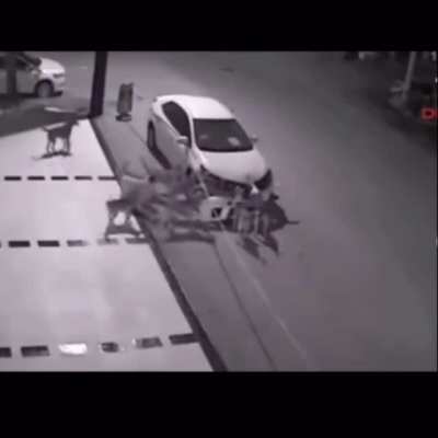 It would be hard to explain this to insurance companies