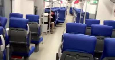 Risky train wank