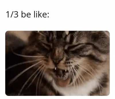 0.33333