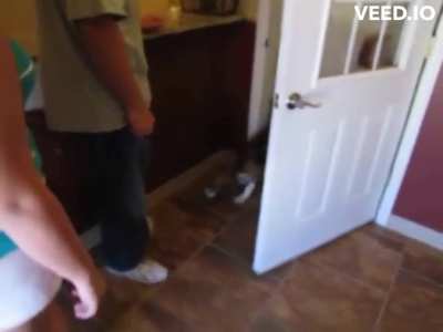Beagle reunited with owners