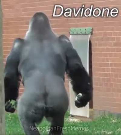 De nada