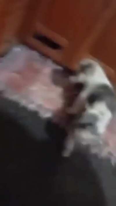 DIAABOLO