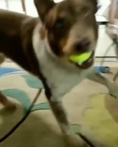Best way to die