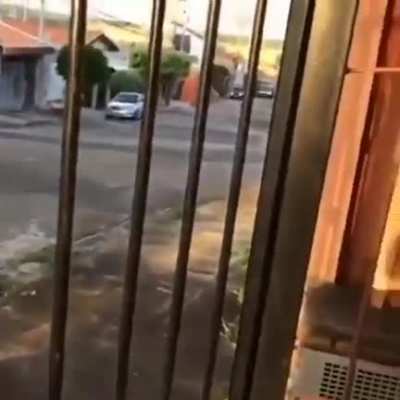 todo mundo respeitando a quarentena