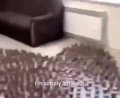 Clam tea