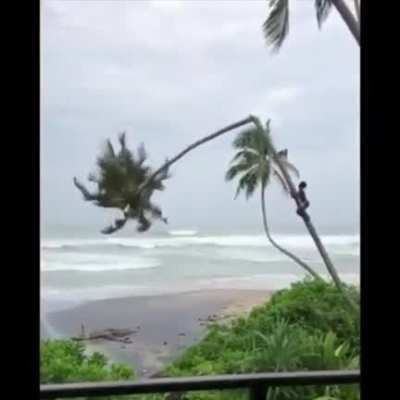 Tropical thunder