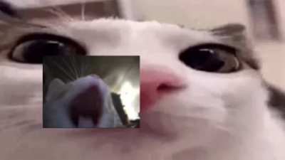 Make me mod I will not improve anything and will probably make it worse ☺️