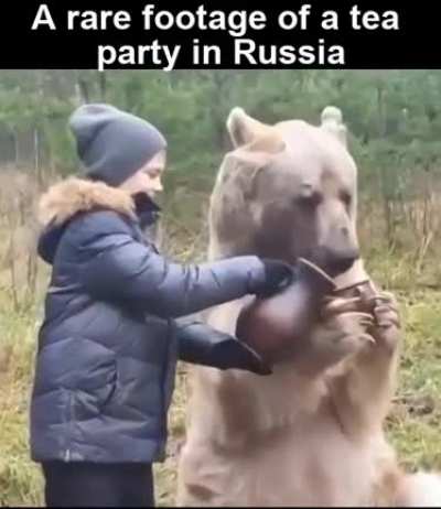 More tea please