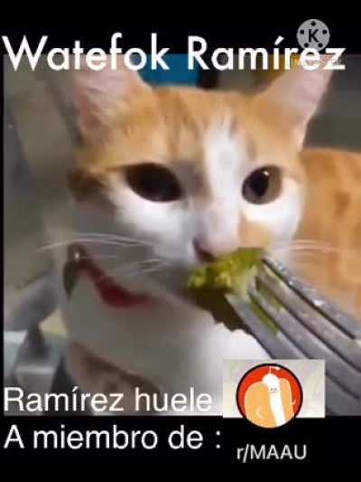 Si soy😳😳😳