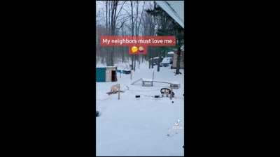 Nothing like farm life - original video from u/thorisadog
