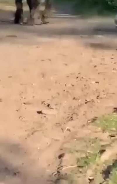 Don't Pick on the Big Guys
