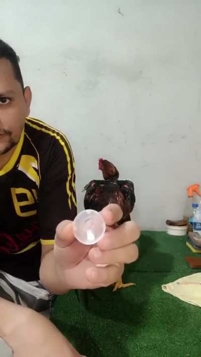 aprendendo...