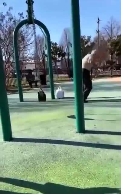 Just another day at the park