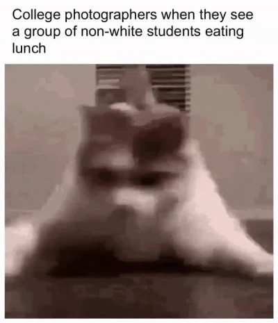 "Look at how diverse our university is!"
