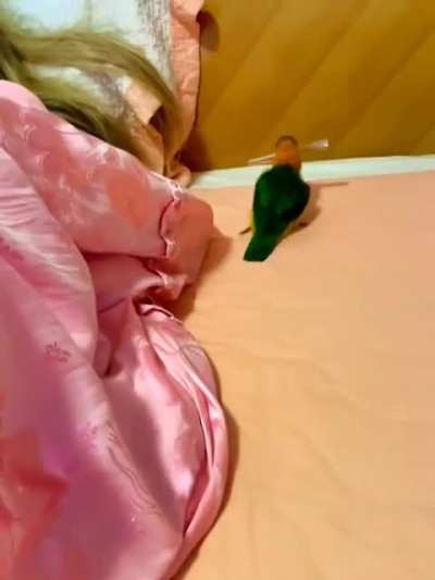 Crackhead Chicken