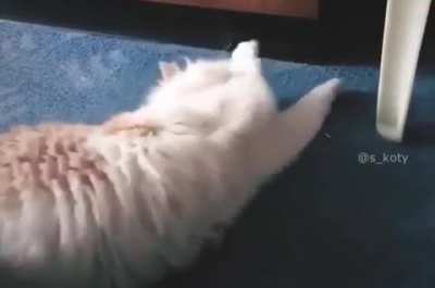 That HAD to hurt.