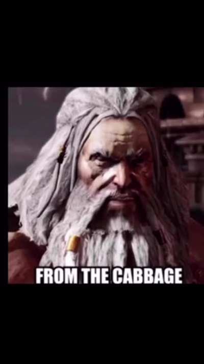 cabbage