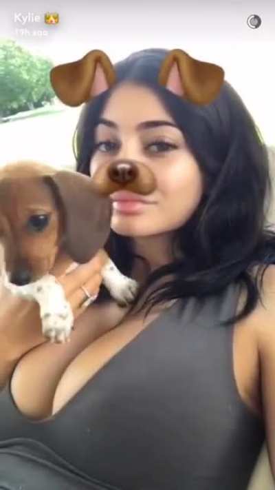 Puppies