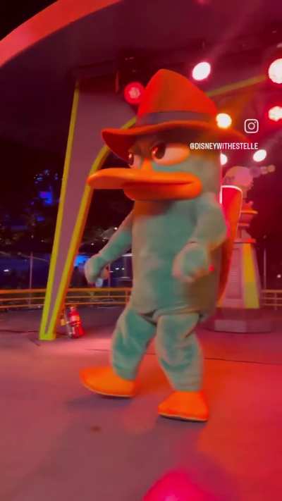 Perry "the Puerto Rican" platypus 