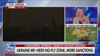Ukrainian MP says on Fox News, &lsquo;you care more about whether you pay extra 50 cents for your gas&rsquo; than &lsquo;how many people die in Ukraine&rsquo;