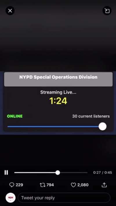 Aliens coming to the Bronx New York