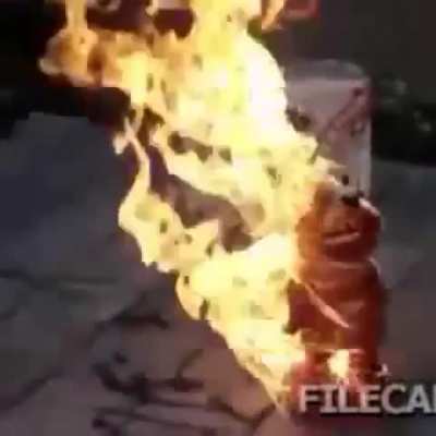 cursed_elmo