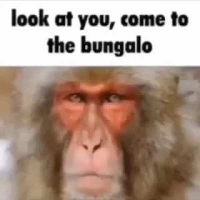 Banana fun