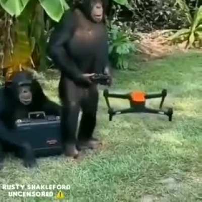 mexico vs peru