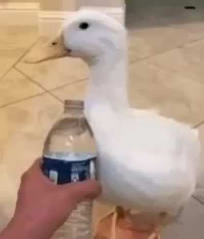 Rule