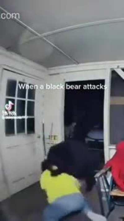 A bear rushes into a man&rsquo;s house
