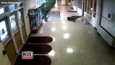 Oh deer