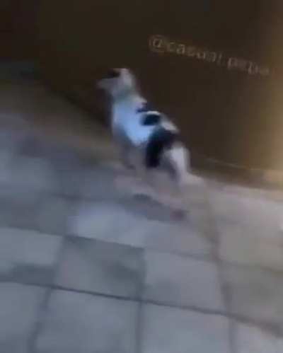 Meu primeiro post.