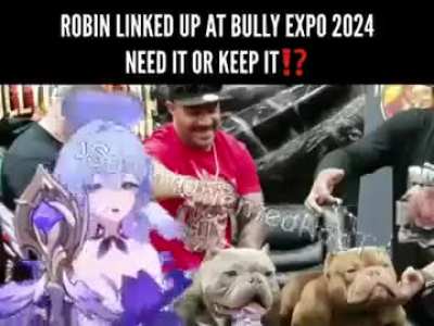 "Pitbulls are actually very misunderstood!" ☝️🤓
