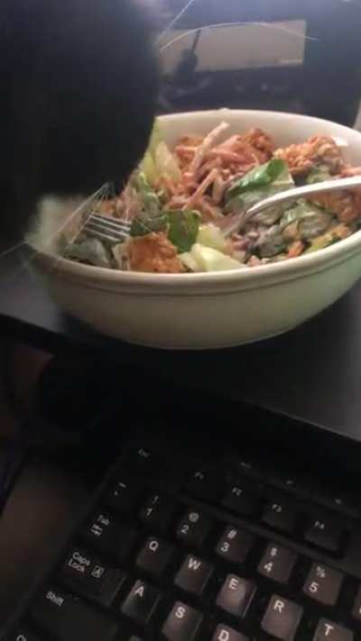 Really? In front of my salad?