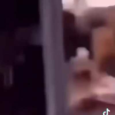 OO
