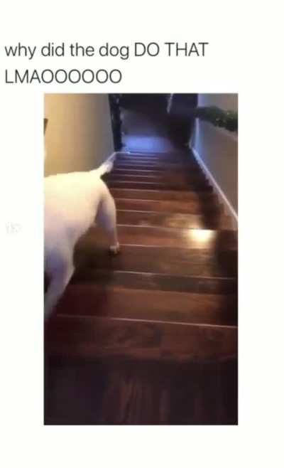 Yeet