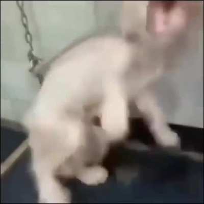 yes