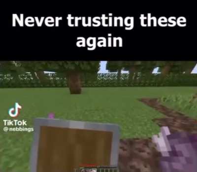 Meincraf