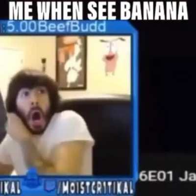 Le MonkeCr1TiKaL