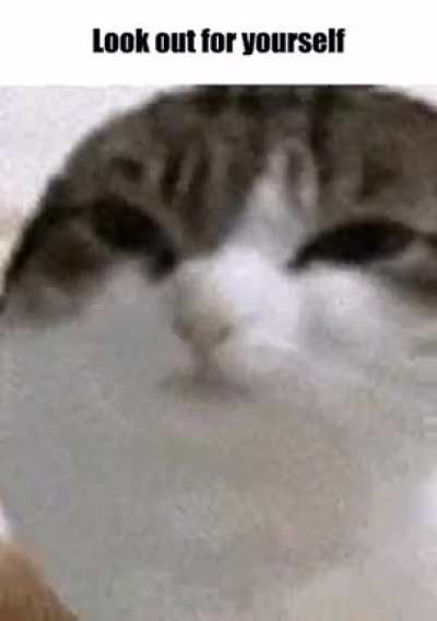 I'm 15 and this is yeet