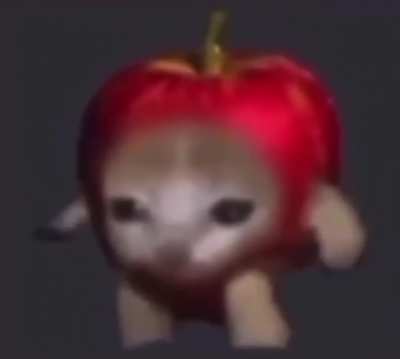 I don't even know at this point