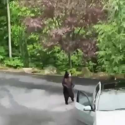 Don't f*ck with the Mercedes!! AHHHHH