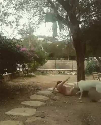 Dog knows a bitch when he sees one