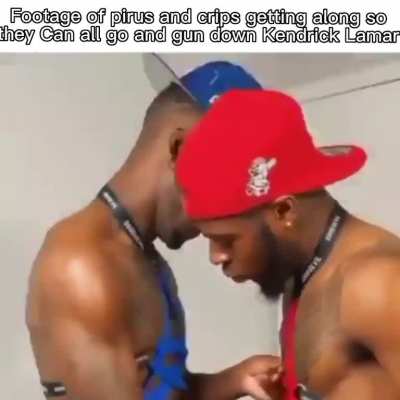 Awww it&rsquo;s nice to see them getting along