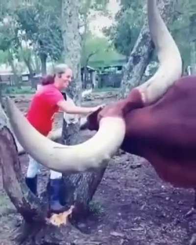 Those are some HORNS!!